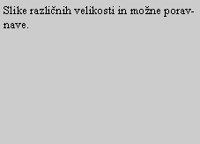Text Box: Slike razli�nih velikosti in mo�ne poravnave.