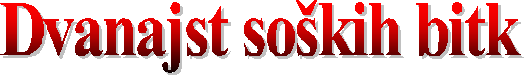 naslov