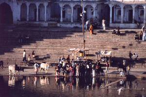 Pushkar: sveto mesto Hindujcev