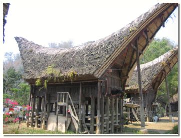 Tangkonani, hi�a prebivalcev Toraje (Torad�e)