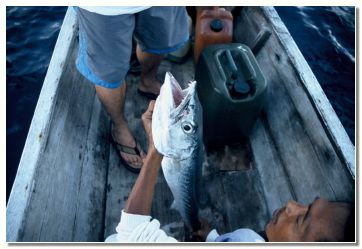 Barakuda, ujela jo je mlaj�a trojica (Mojca, Ale�, Maja)