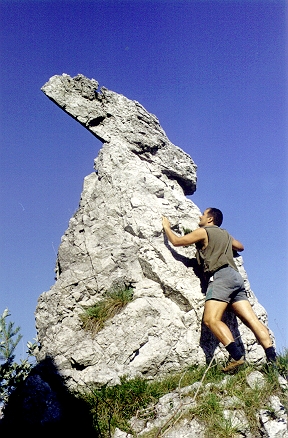 DK_kamniti_zajec.JPG (149406 bytes)