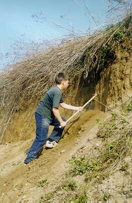 breguljka_ciscenje_stene1.jpg (23357 bytes)