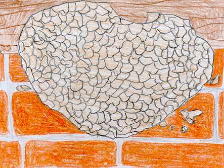 risba_gnezdo_godler.jpg (34820 bytes)