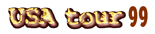 usa99.GIF (14205 bytes)