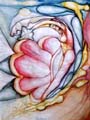 Unutarnji cvijet-(akvarel)