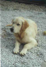 ajk6m1.jpg (46488 bytes)