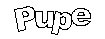 Pupe