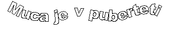 Muca je v puberteti