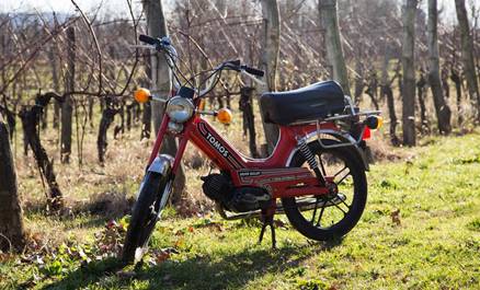 Rezultat iskanja slik za tomos