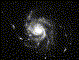 m101
