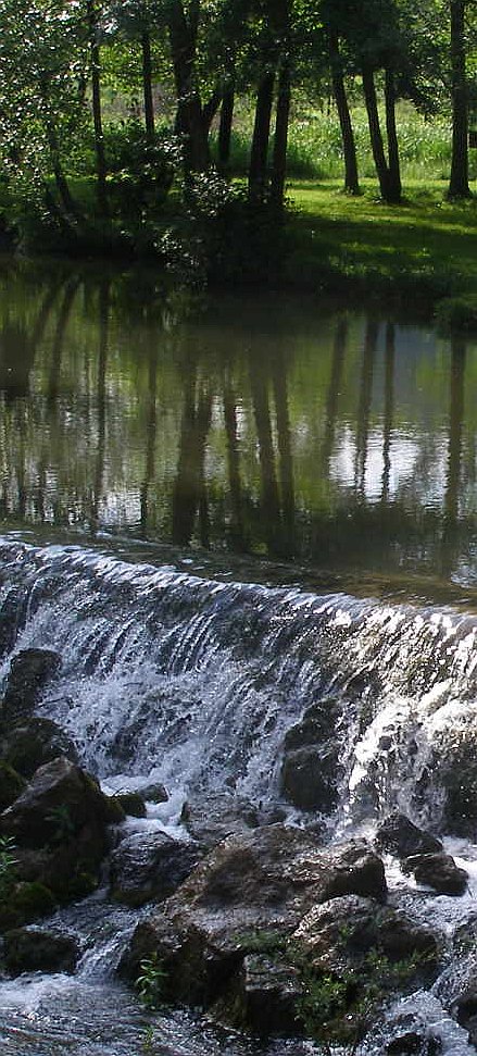 500_let_Trubarja_Rasca_8_6_08