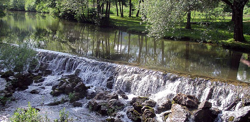 500_let_Trubarja_Rasca_8_6_08