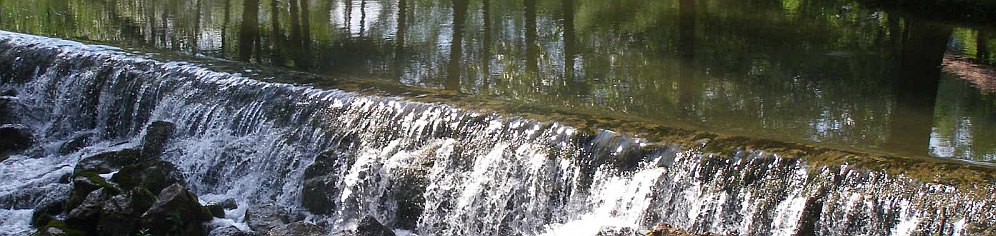 500_let_Trubarja_Rasca_8_6_08