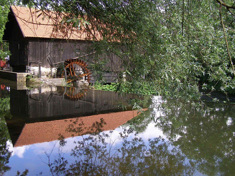 500_let_Trubarja_Rasca_8_6_08