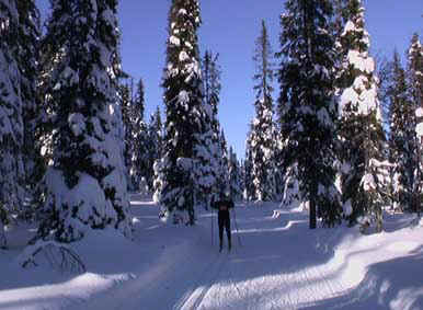 IMGA0101.jpg (19819 bytes)