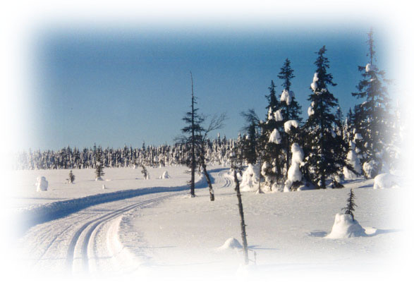 spura4.jpg (54801 bytes)