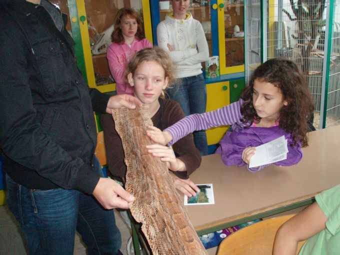 Image 11 of 16  -  84 kB