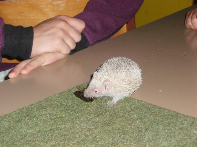 Image 12 of 16  -  71 kB