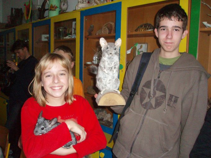 Image 13 of 16  -  72 kB