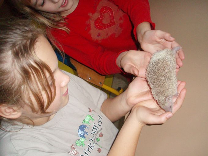 Image 14 of 16  -  65 kB