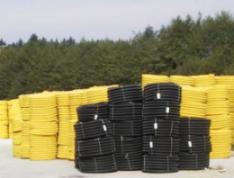 dren1.jpg (7899 bytes)