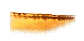 rob.gif (4342 bytes)