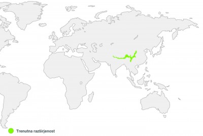 Zemljevid sveta - razširjenost