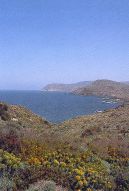 Island of Asinara - Sardinia