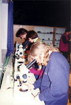 mikroskopiranjeM.jpg (15540 bytes)