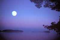 Potovati v mese�ini