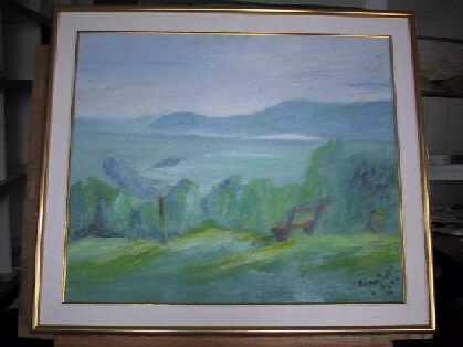 Pogled na ljubljansko polje