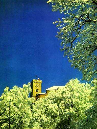 Castle