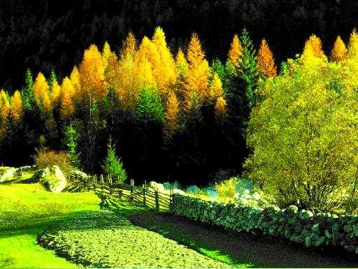 Landscape