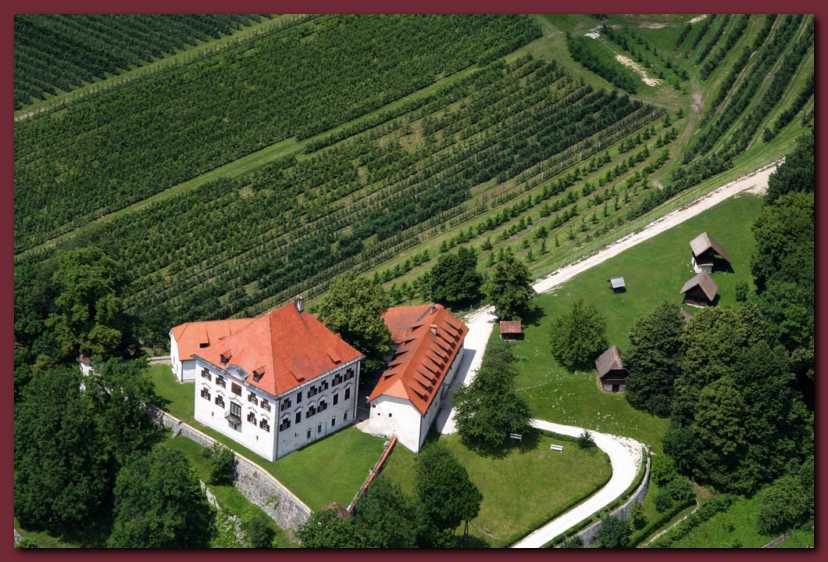 Gra��ina Zaprice