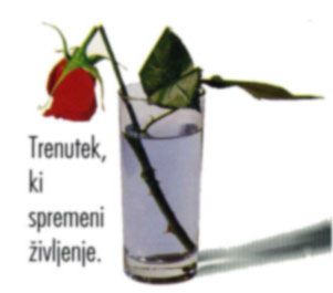 Pazi na sebe dokler si zdrav!