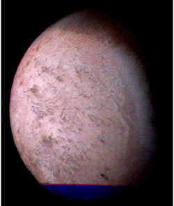 triton.jpg (17329 bytes)