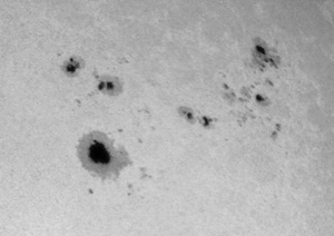 multipolarna.JPG (21048 bytes)