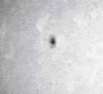 unipolarna.jpg (2623 bytes)