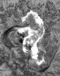 wlf.jpg (9617 bytes)