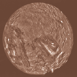 miranda.gif (48753 bytes)