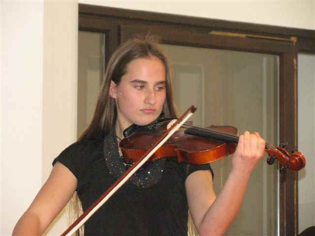 Nasviolin.JPG (42833 bytes)