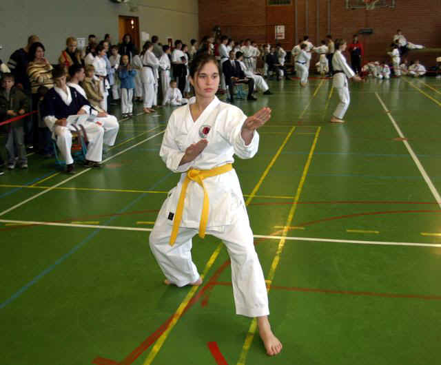 kajaasa.jpg (47494 bytes)