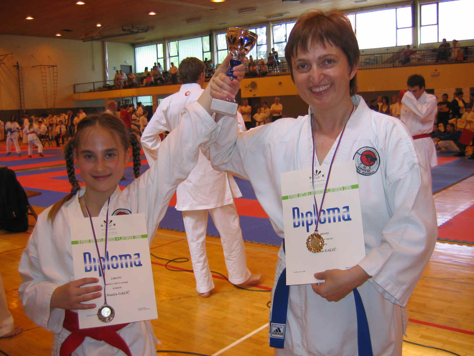 ljutomer.JPG (480313 bytes)