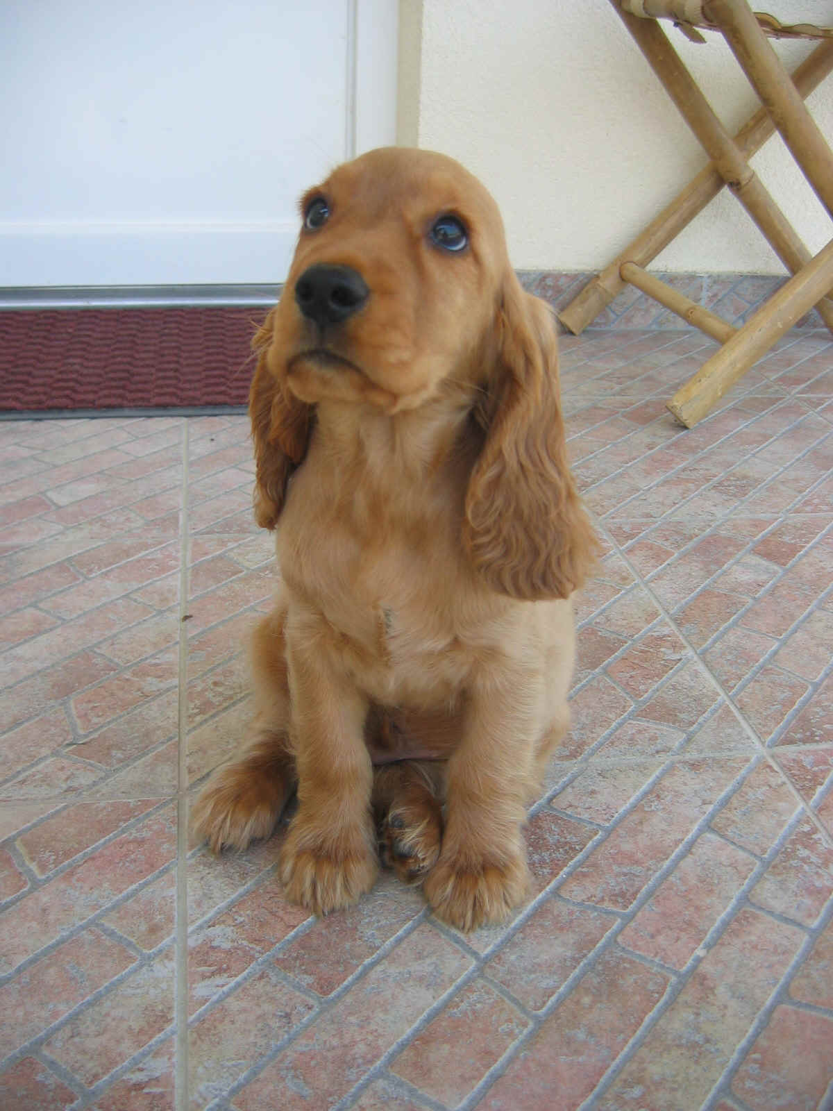 puka3.JPG (527732 bytes)