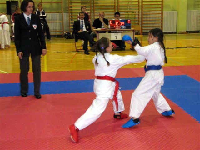 zalec1dp_014.jpg (55482 bytes)