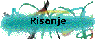 Risanje