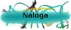 Naloga