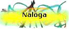 Naloga