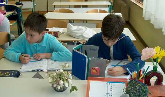 Pieva domaco anlogo.